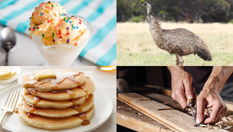 من بينها حرب طائر الإيمو.. تعرفوا على أغرب أسباب الحروب في التاريخ 