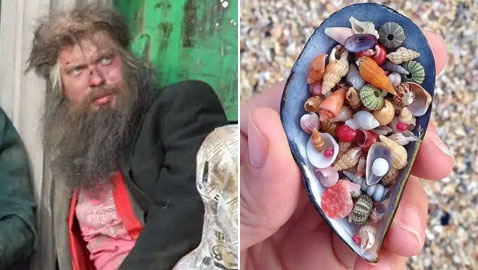 جمع الصدف وإطعام المشردين.. وأغرب الأفعال المحظورة في بعض الدول