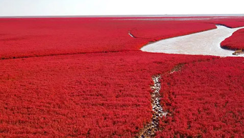 ظواهر عجيبة تحدث في أوقات محددة من السنة