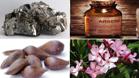 السم المثالي؟ 6 سموم غير قابلة للكشف أربكت الأطباء على مر التاريخ