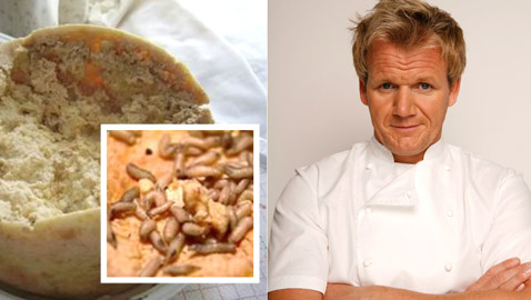 تملؤه الديدان.. هل تجرؤ على تناول أخطر جبن في العالم؟!