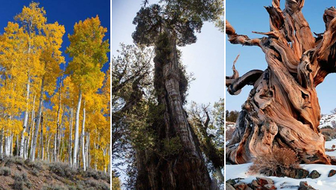 ����� ���� �������... ���� ��� ���� 10 ����� �� ������!