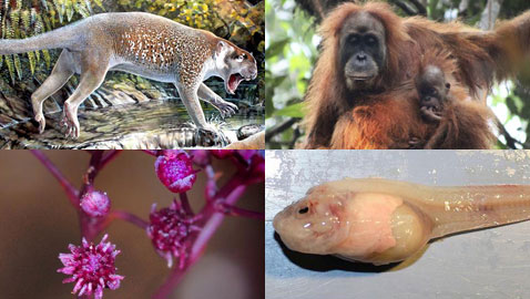 ������.. 10 ������ ��� ������ ����� �� ��� ���� ������� ��� ����!