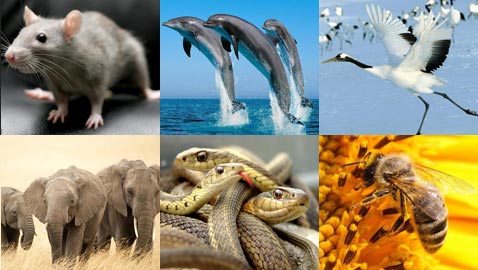 ����� �����: ������� ���� �� ��� ����� ������ ����� ��� ������!