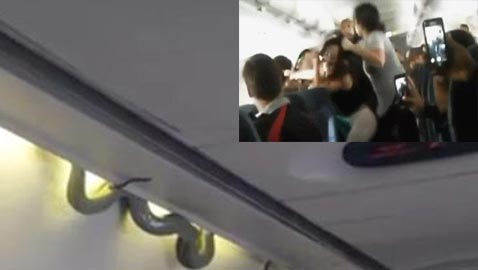 5 ����� ����� ������� ���� �� ������ ����� ����� ������!