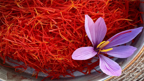 ���� �����