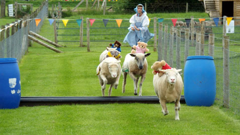 ���� �����