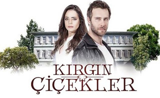������� ������� 2 KIRGIN CICEKLER