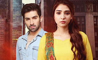 ���� �����