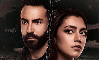 ���� ���