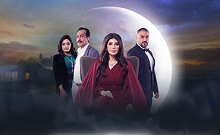 ��� ����� ���